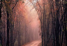 开云体育官网-西决生死战焦点战，热火打穿雷霆，团队篮球的终极胜利